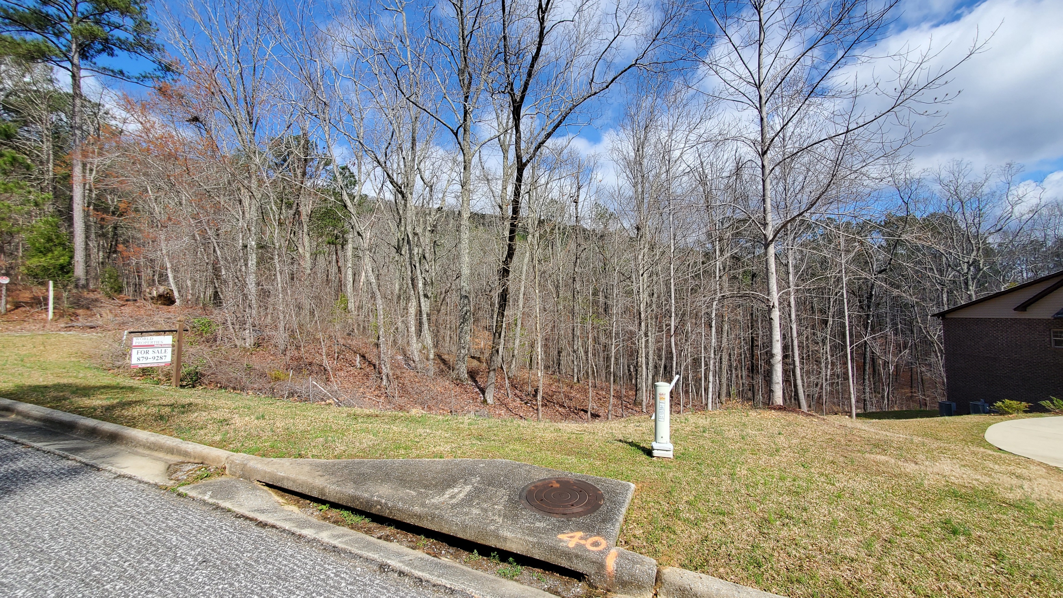 View of Lot 39
                from Autumn View Drive