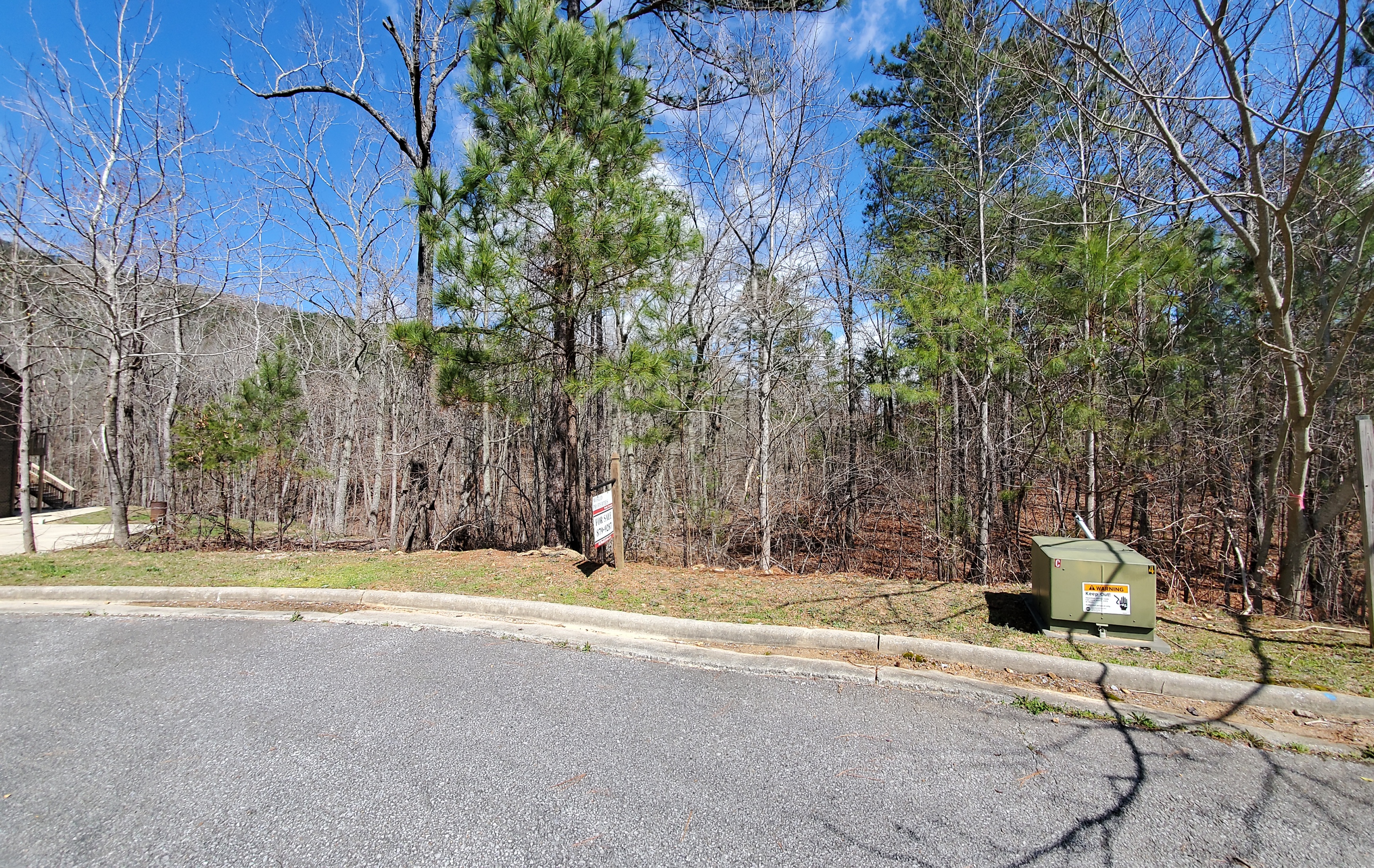 Lot 38 Photo