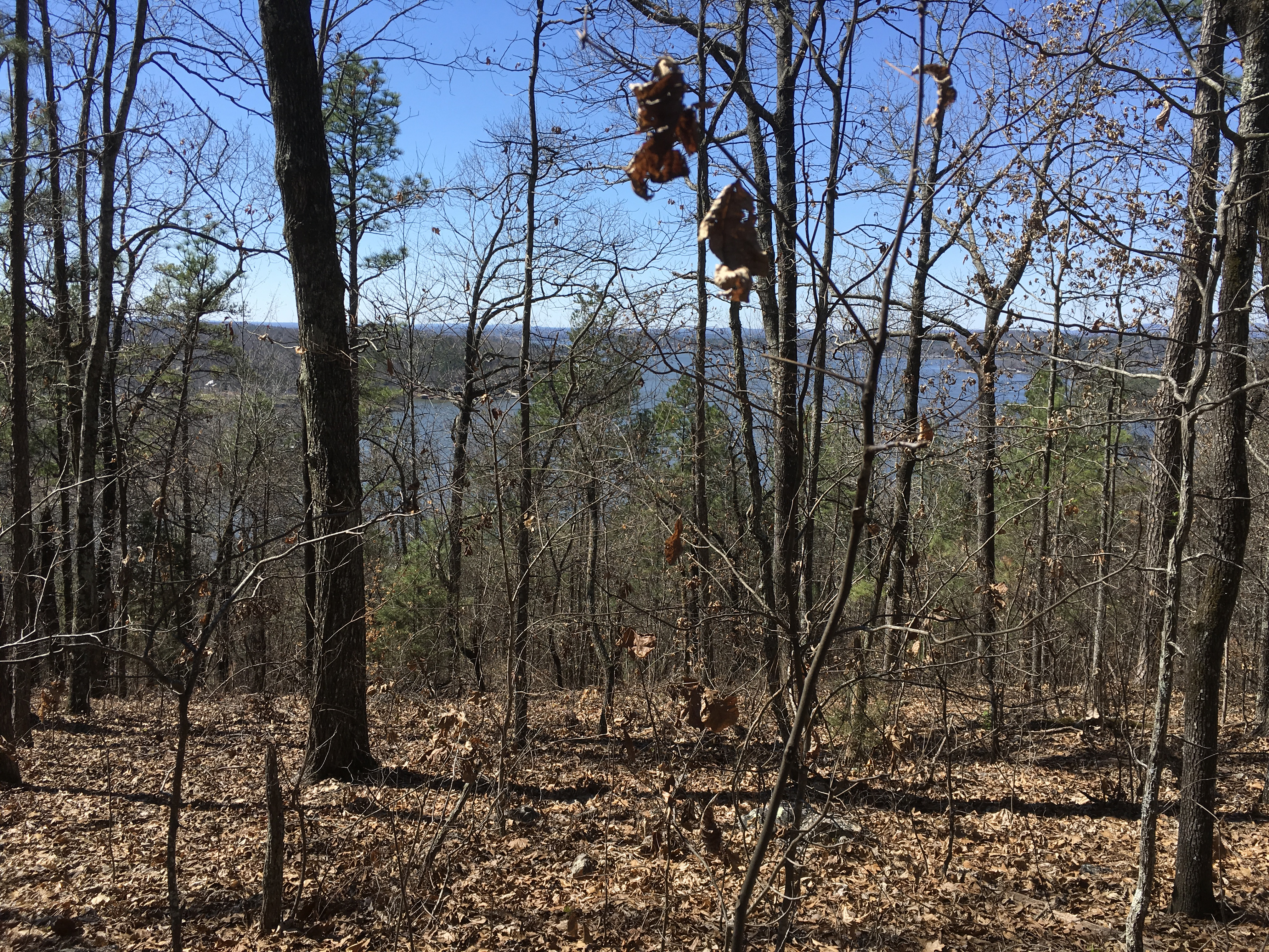 Allen
Mtn