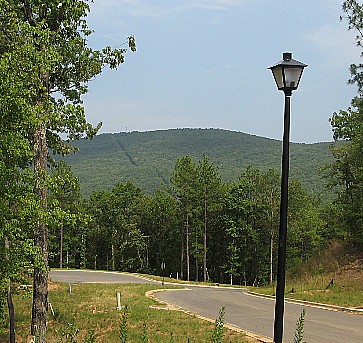 Views are abundant in Bear Creek
                Ridge