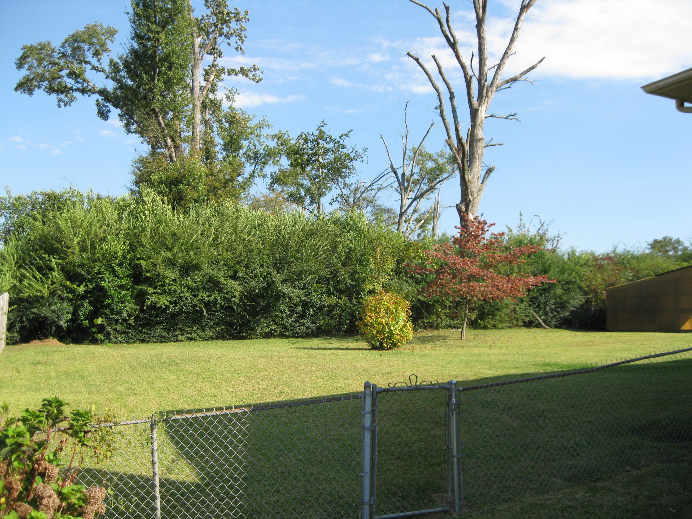 Fenced Back Yard!