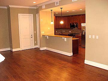 Living Room and
              Kitchen Open Floor Plan!