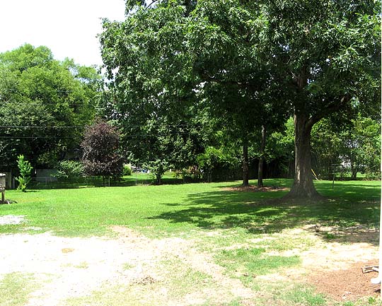 Huge
                            Level Backyard!