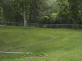 Nice gently rolling
                  fenced backyard!