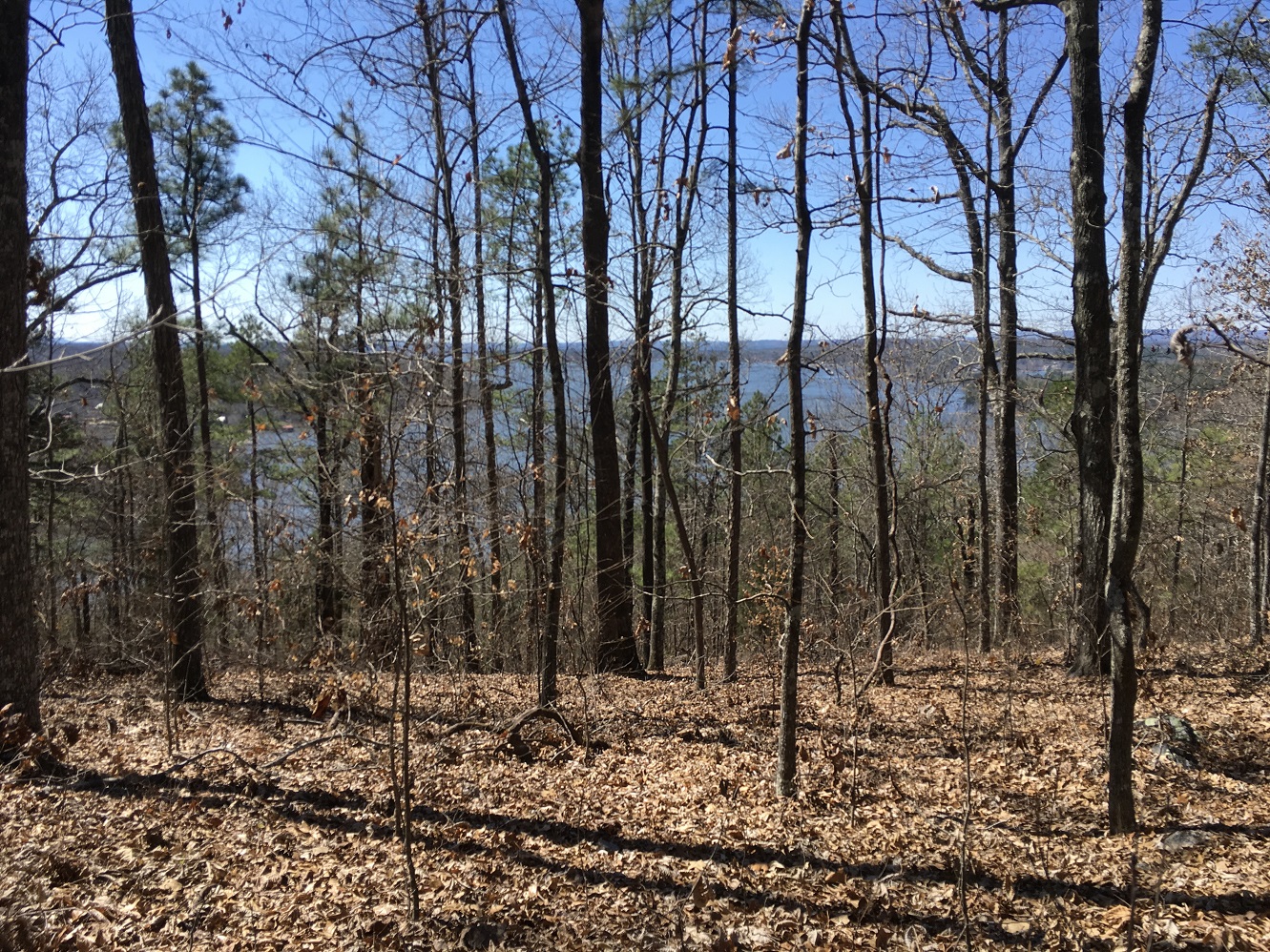 Great view
                overlooking Logan Martin Lake!