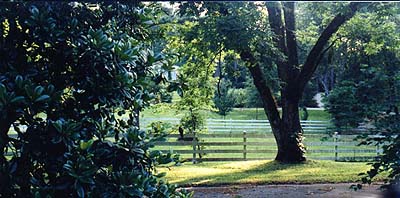 The property includes several pasture
      areas separated with white picket fences.