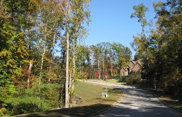 ROSEMONT VESTAVIA
                HILLS LOT FOR SALE