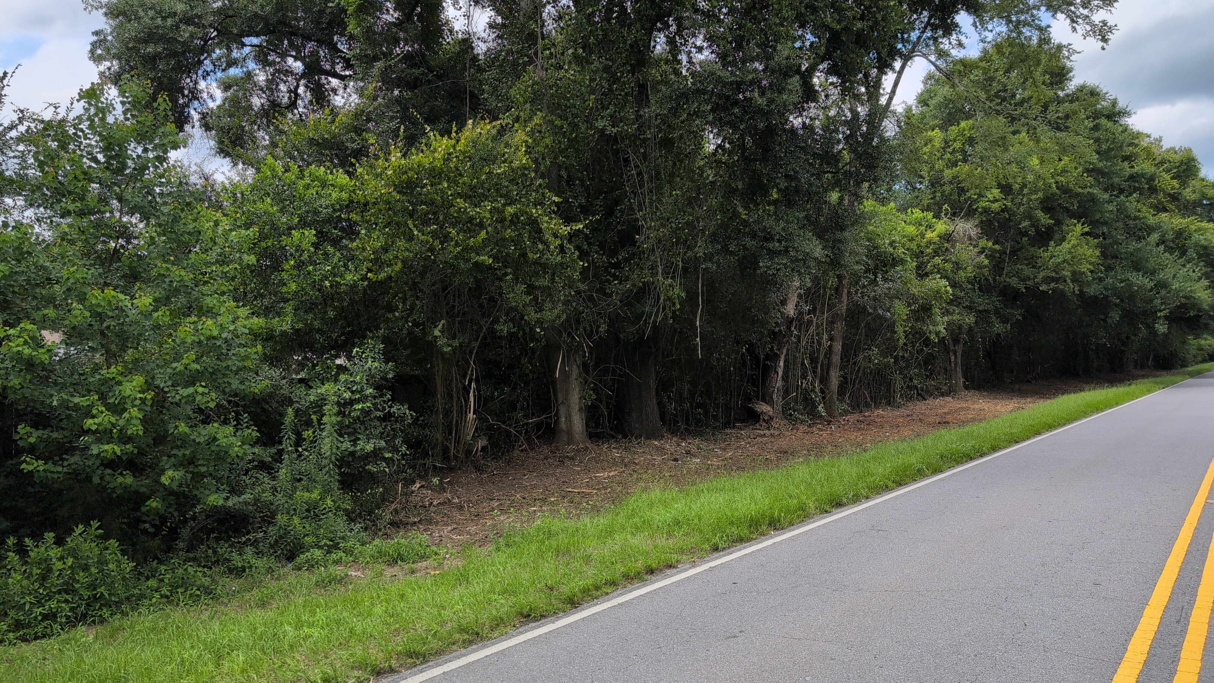 Photo of Land